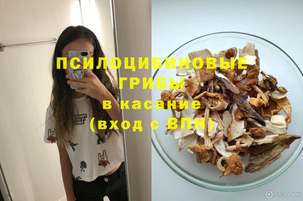 мяу мяу мука Алексеевка