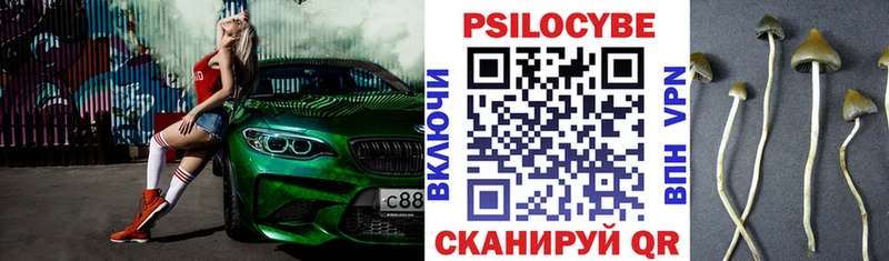 Галлюциногенные грибы мицелий  Баймак 